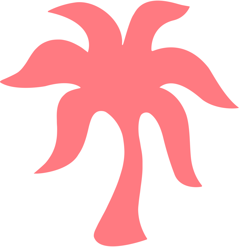 PINKPUFFHOODIE